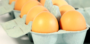 Egg boxes, cartons and packaging